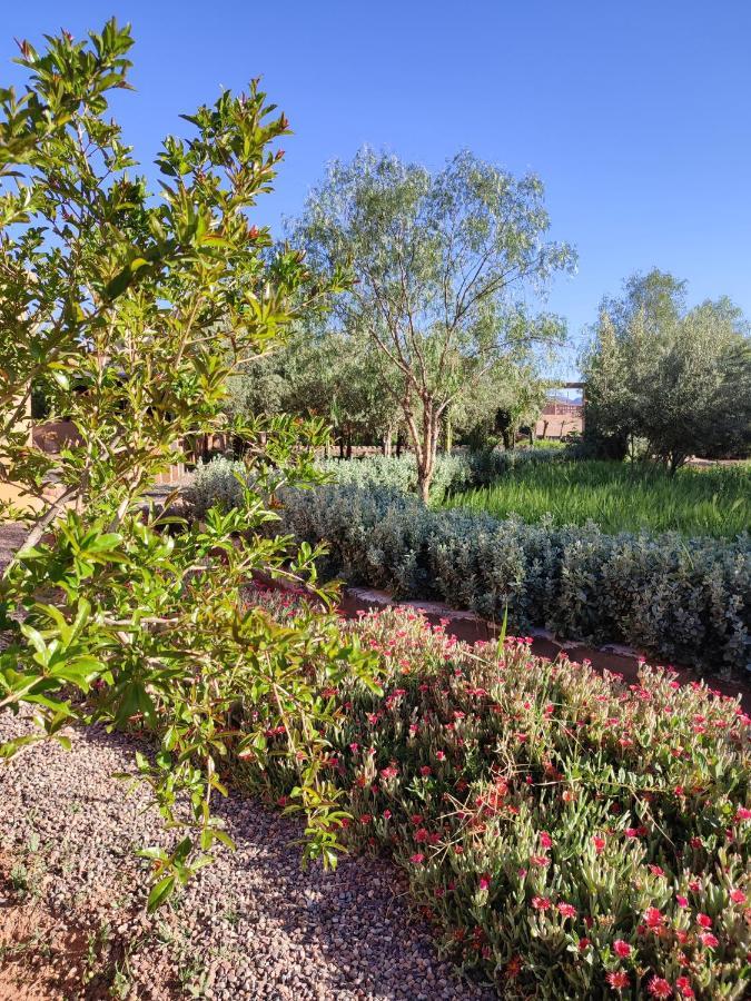 Maison D'Hotes Tigminou - Adults Only Ait Benhaddou Luaran gambar