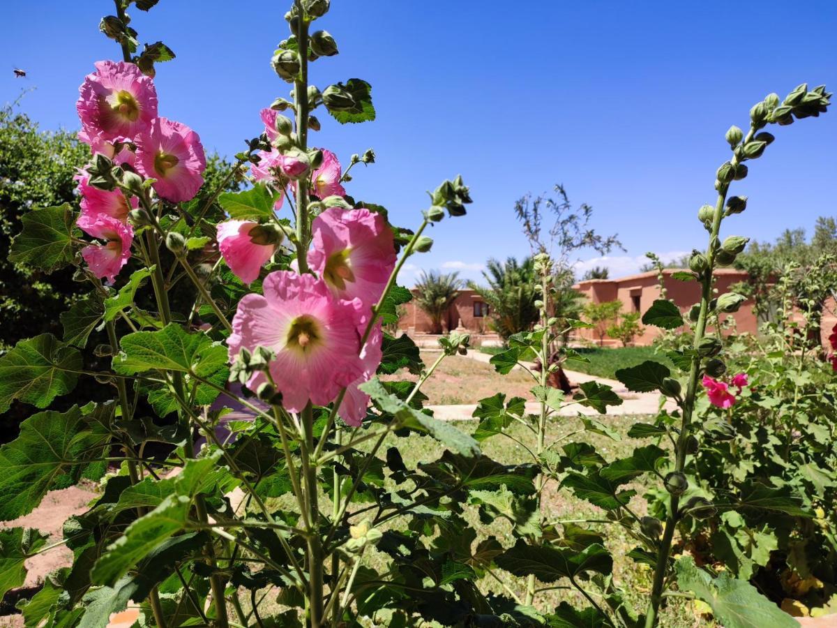 Maison D'Hotes Tigminou - Adults Only Ait Benhaddou Luaran gambar